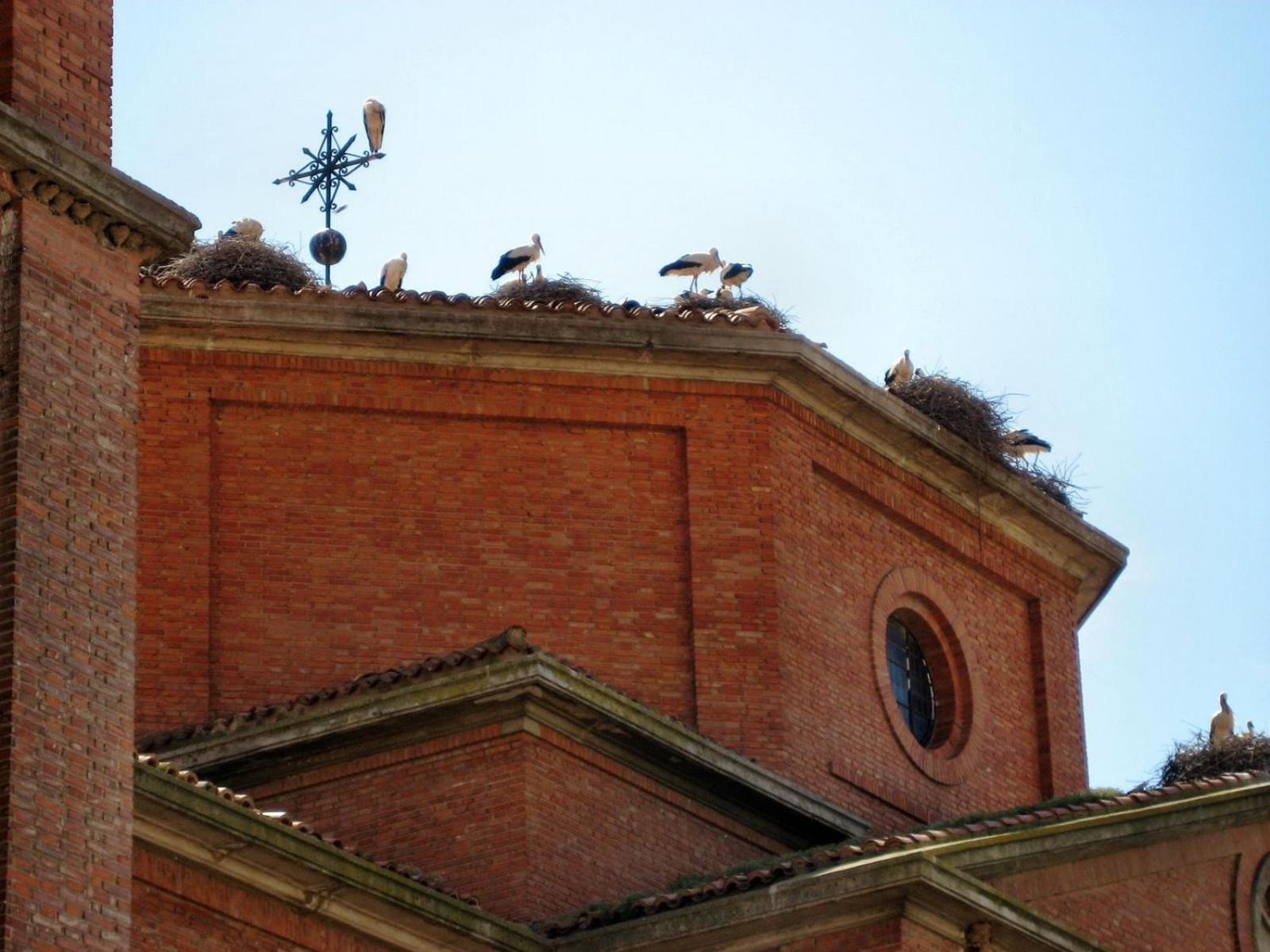 Hotel Rios San Adrian  ภายนอก รูปภาพ